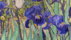 van Gogh, Irises (detail)