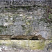 Delaware Limestone over Columbus Limestone (Middle Devonian; Griggs Dam, Columbus, Ohio, USA) 4