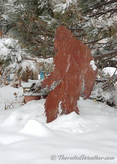 January 1, 2022 - Sasquatch in the New Year's Day snow. (ThorntonWeather.com)