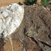 Quartz vein in sandstone (Coleman Quartz Mine, Arkansas, USA) 9