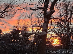 January 6, 2022 - A nice looking sunset. (Nancy Gress-Fox)