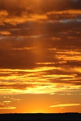 January 5, 2022 - Beautiful sun pillar in Adams County. (Bill Hutchinson)