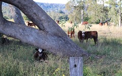 83 Farm Road, Bonalbo NSW