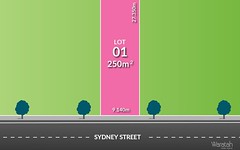 Lot 1, 231 Sydney Street, Riverstone NSW