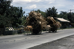 PH En route to Baguio - 1963 (W63-K11-27)