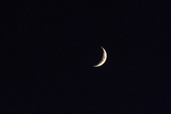New Moon - DSC_0653