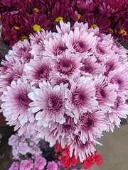 January 15: Grocery Store Flowers - Number 15