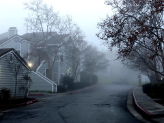 January 14: Dence Fog - Number 14