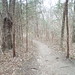 Cottonwood Creek Trail South woodlands, Allen, Texas, on a cold January 15, 2022