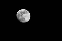 A Shot at The Moon