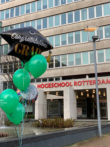 Ballonboeket Bedrukt Hogeschool Museumpark Rotterdam