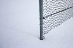 Lines in the snow