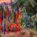 Desert Botanical Garden-Dale Chihuly Exhibit