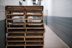 (020 of 365) Pallets