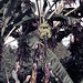 PG Lae banana tree - 1965 (W65-A19-27)