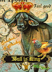 Bull is King