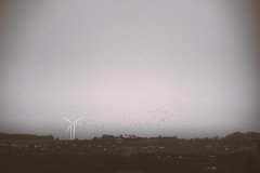 Wind turbines // 21 01 2022