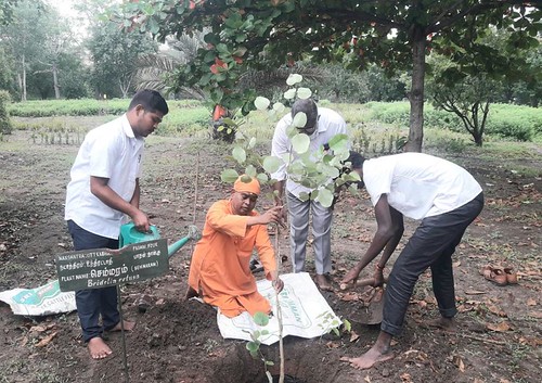Tree Sapling (Semmaram) Planting  - by Swami Narayananda Maharaj