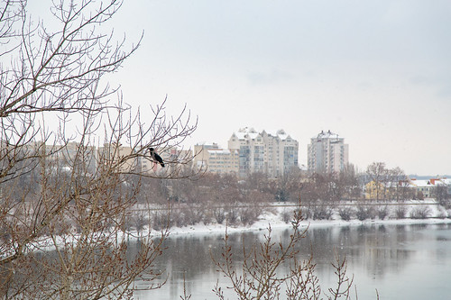 The Dniester River in Tiraspol