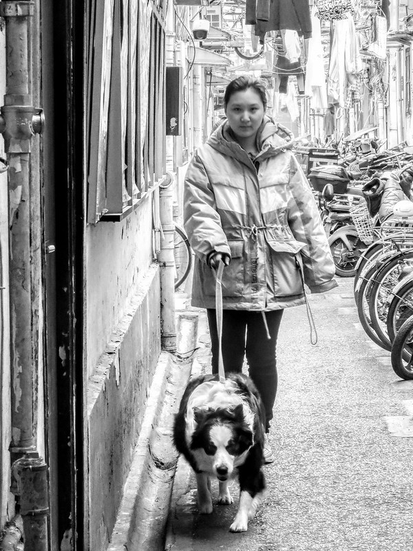 The girl with the dog walking through the narrow alleyway<br/>© <a href="https://flickr.com/people/193575245@N03" target="_blank" rel="nofollow">193575245@N03</a> (<a href="https://flickr.com/photo.gne?id=51840157384" target="_blank" rel="nofollow">Flickr</a>)