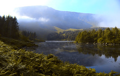 Forest Lakes of Kerry