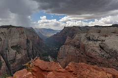*Zion NP @ Observation Point*