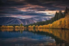 Fall Color in New Zealand