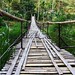 A bamboo bridge in Ende, Flores