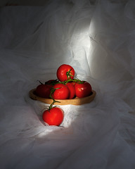 ... tomatoes in morning light ...