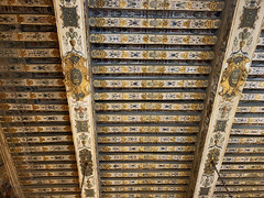 2021.11.19.067 FONTAINEBLEAU - Le château - Salle des gardes, le plafond du XVI° siècle