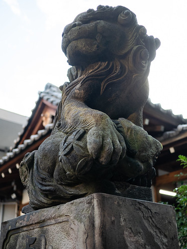目黒大鳥神社の狛犬 吽