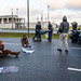 Aktivisten vom Aufstand der Letzten Generation kleben sich am BER an die Straße, der einzige nicht geklebte wird weggetragen