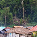 A remote Sawai village, Maluku