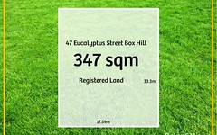 47 Eucalyptus Street, Box Hill NSW