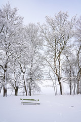 Winter wonderland view