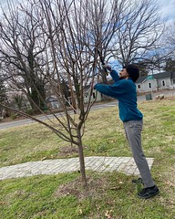 Change is good: The trees teach us thingsss 🌳 What all fruit trees have in common is that the best time to prune them is during the dormant season, with late winter being ideal. Whether you’re pruning to shape the entire tree, to control it