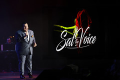 Sal the Voice