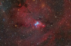 The Christmas Tree Nebula