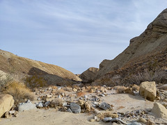 Anza-Borrego Desert State Park - Fish Creek Wash