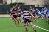 rugby fév 22 (1) • <a style="font-size:0.8em;" href="https://www.flickr.com/photos/126367978@N04/51935547794/" target="_blank">View on Flickr</a>
