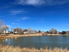 March 12, 2022 - A fine looking day in Thornton. (LE Worley)