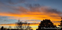 March 2, 2022 - A gorgeous sunset in Thornton. (ThorntonWeather.com)