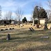 Elmwood Cemetery II 3-12-22 (8)