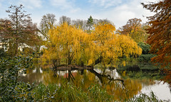 Münster: Botanischer Garten