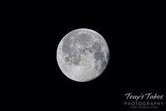 March 19, 2022 - The waning gibbous moon. (Tony's Takes)