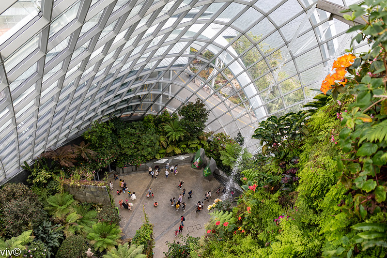 Impressive waterfalls and view from top of Cloud Mountain and Cloud Forest at Gardens by the Bay, Singapore<br/>© <a href="https://flickr.com/people/143455489@N03" target="_blank" rel="nofollow">143455489@N03</a> (<a href="https://flickr.com/photo.gne?id=51956938361" target="_blank" rel="nofollow">Flickr</a>)