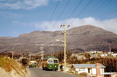 October 1968, Strickland Avenue, Hobart