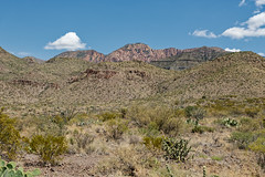 Ward Mountain and Other Peaks of the Chisos Mountains (Big Bend National Park)