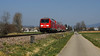 DB 245 003 Erzingen (Baden) 24.03.2022