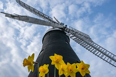 Holgate Windmill, March 2022 - 26